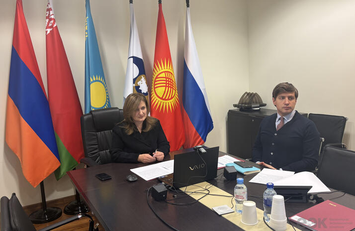 Вебинар ЕЭК и Международного совета по зерну